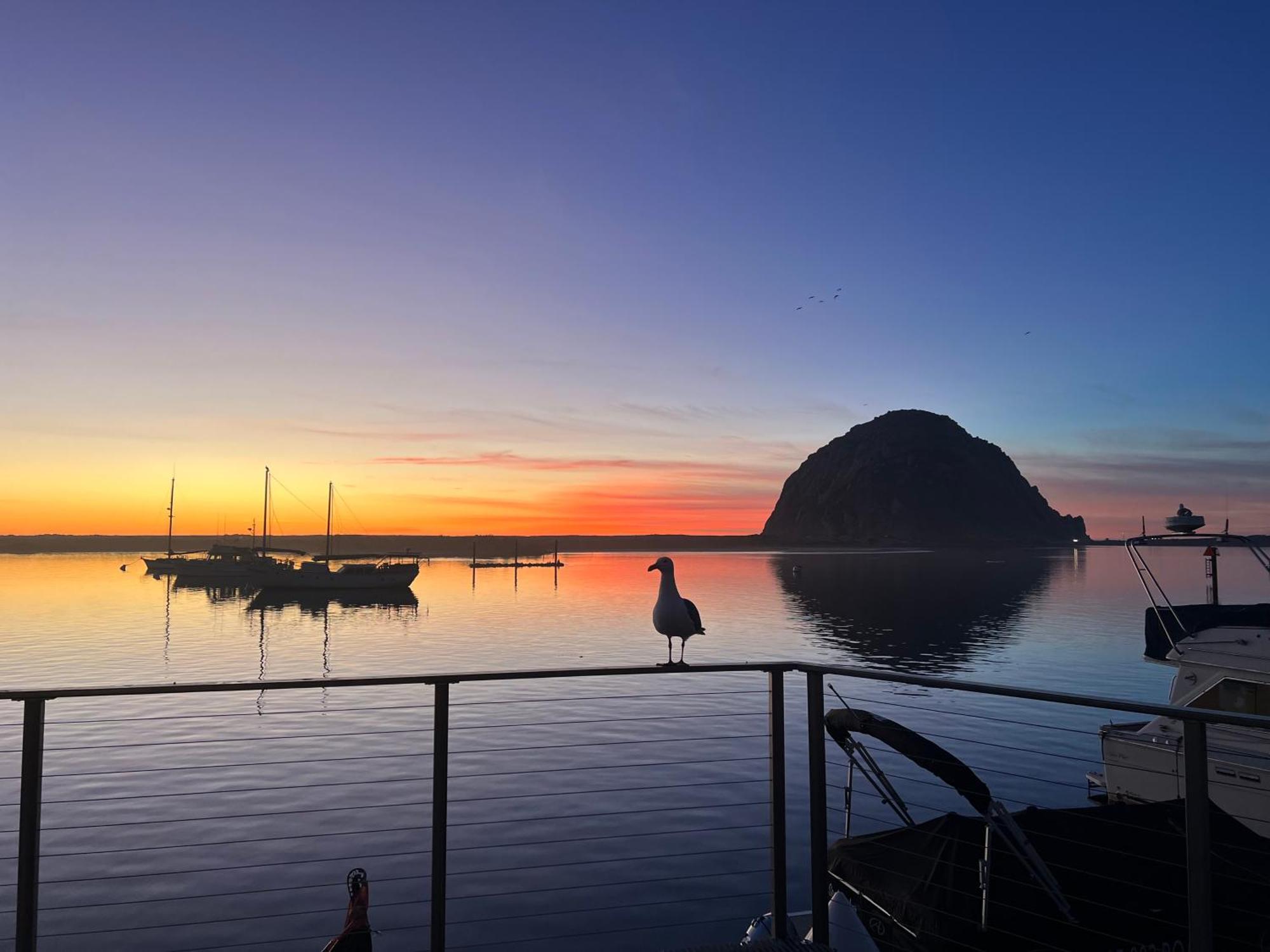 Harborwalk Inn Морро-Бей Екстер'єр фото